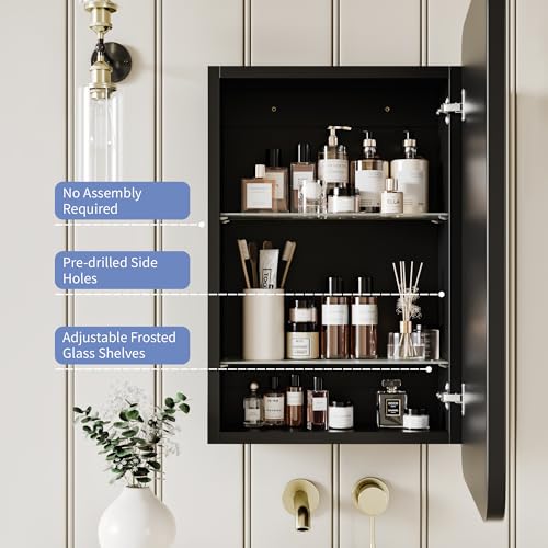 Image of AGDULL Medicine Cabinet with Black Metal Frame Mirror, Overall 16.5 inchx24 inch