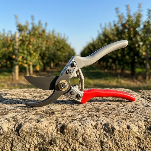 Tijeras de podar YJLDDZ 7.1 pulgadas para jardín miniatura 4