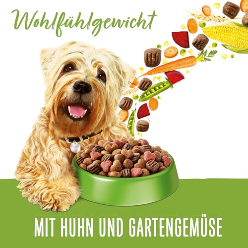 Beneful Wohlfühlgewicht Hundefutter trocken, mit Huhn und Gartengemüse, 1er Pack (1 x 12kg)