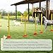 PawHut Agility Set Hunde 3-teiliges befüllbar Agility-Ausrüstung für Hundetraining Steckhürdenset mit Slalomstangen höhenverstellbar Hürden Sprungring Koordinationstraining für Spiele Training