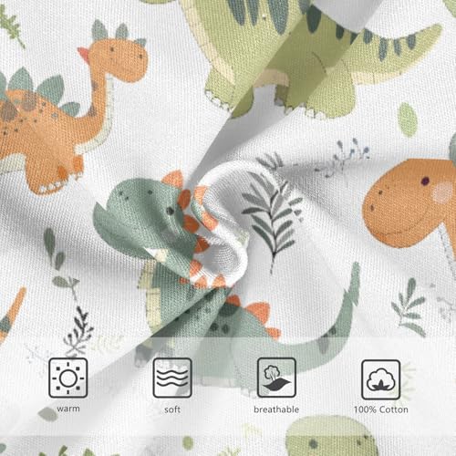Dinosaurs Cute Boys' Underwear 100% Cotton Boys' Briefs Soft Toddler Underwear3