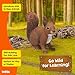 Schleich Squirrel 14936