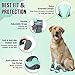 SlowTon Dog Shoes for Large Small Medium Dogs - Breathable Dog Boots for Summer Hot Pavement, Paw Protector for Outdoor Walking Winter Snow, Anti-Slip Rubber Dog Booties for Hardwood Floor (Green, 6)