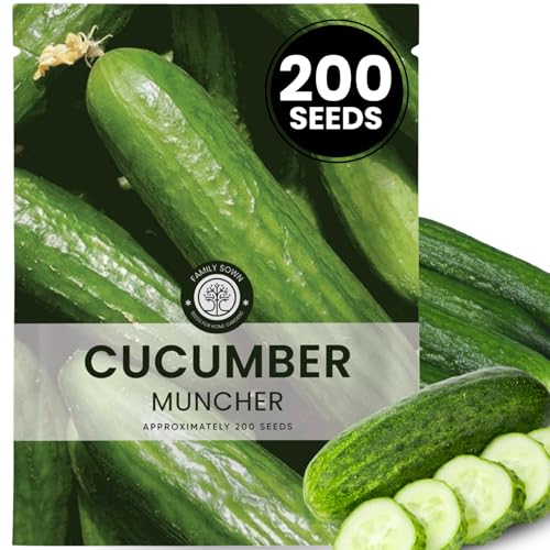 Cucumber Muncher 200 Premium Seeds for Planting Sweet Tender Heat-Tolerant Slicer for the 2026 Season 6 Gram Pouch