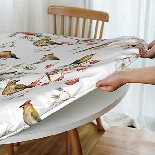 Fatttycy Round Table Cloth Watercolor Bird Tablecloth Elastic Edge Fitted Table Cover Fits Tables Up To 40"-44" Diameter #TOP4