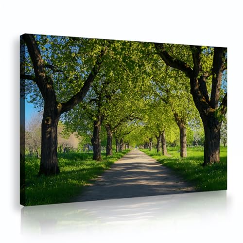 ؂̏LoXEH[A[gRivgrO[̎ʐ^_O[Zȃ|X^[bNXłǂ̑ǉ45x70cmCi[t[