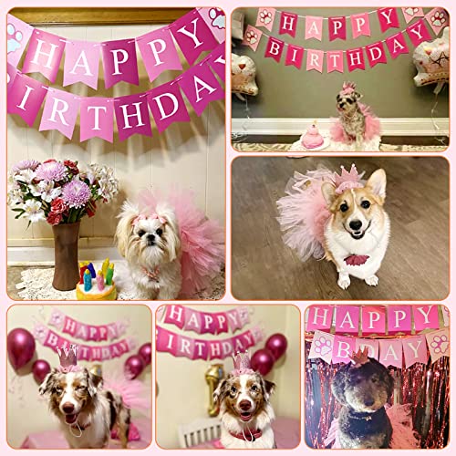 4 piezas disfraz de cumpleaños para perro pequeño miniatura 4