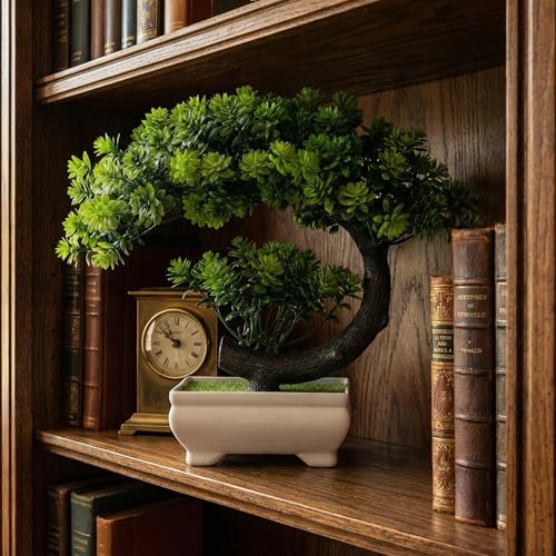 Image of Dekorly Small Fake Plants /Plastic Artificial Bonsai Tree for Bookshelf Bathroom Home Decor, Farmhouse Zen Garden Room Decor, Tall 8.5 inch (Green-Regular, Height : Upto 22CM)