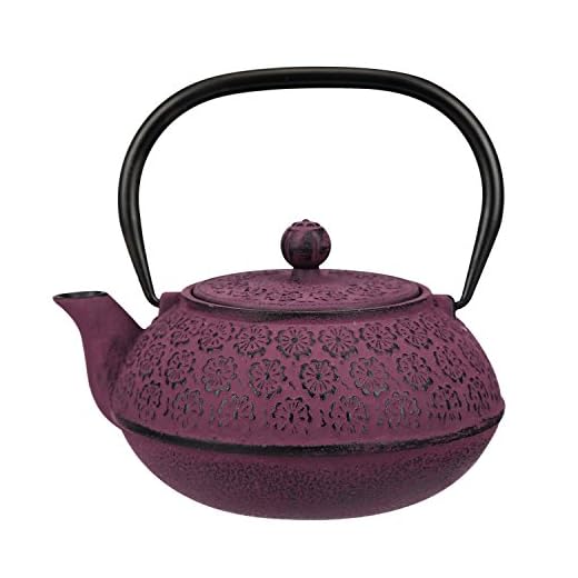 30 oz Cast Iron Teapot Enamel Lining W/Metal Infuser Tea Kettle,Purple