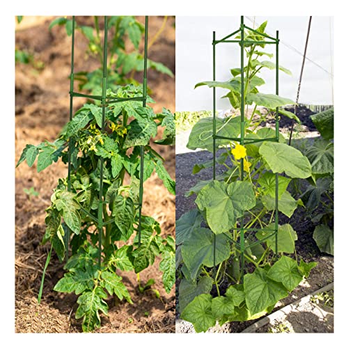3 Pack Tomato Cages For Garden Plant Support, Up To 48Inch Tomato Trellis Assembled Garden Stakes, Plant Trellis With 66Ft Twist Tie, Fit Vertical Climbing Plants, Vegetables, Flowers #TOP7