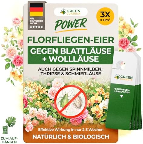 GREEN GUARDIA Power Florfliegenlarven – 3X Karten – Gegen Blattläuse, Wollläuse, Thripse & Spinnmilben – Biologische Schädlingsbekämpfung für Zimmerpflanzen & Zierpflanzen