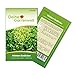 Produktbild Winterendivien Gialla a cuore Samen - Cichorium endivia - Winterendiviensamen - Gemüsesamen - Saatgut für 200 Pflanzen