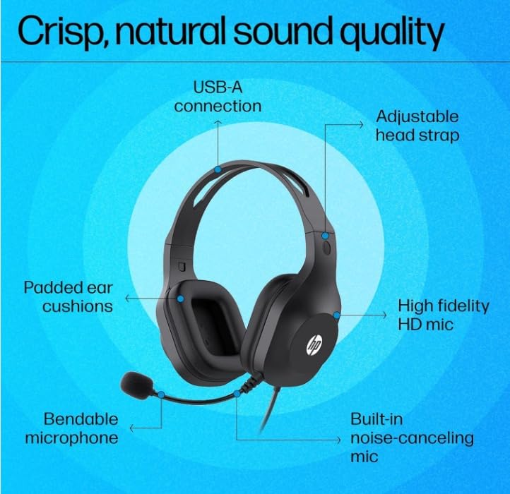Image of HP H125 Stereo USB Headset,Plug-and-Play USB-A, Built-in Noise-canceling mic, Adjustable Head Strap, Padded Ear Cushions, 360-degree Bendable mic, 1-Year Limited Warranty, Black, A20QHAA