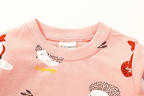 Image of Bumeex Girls Cotton Crewneck Cute Sweatshirts The Hedgehog and The Fox Pink 2-7T