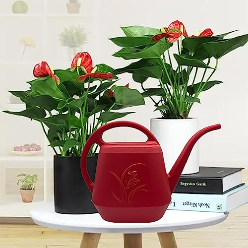 VKPLITE Watering Can - Wine Red - 1/2 Gallon