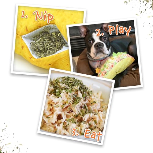 Image of Doggijuana Taco & Juananip Bundle | Squeaky Refillable Plush Toy | Refillable squeaky plush dog toy + organic calming catnip; eases anxiety, stress & storms; drug-free, hand-harvested