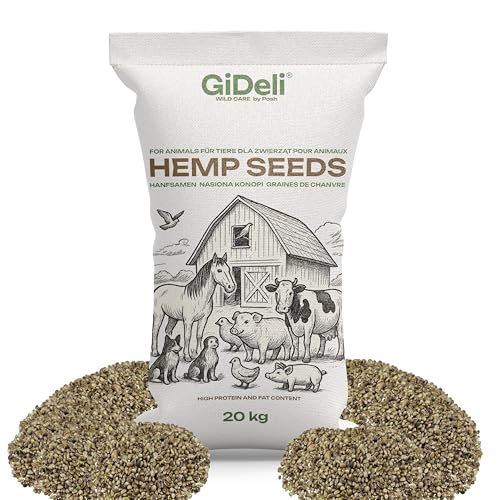 GiDeli Hanfsamen 20kg ungeschält - Vogelfutter ganzjährig Proteinreich - Energiereich Einzelfuttermittel - für Wildvögel, Pferd, Rinder, Schweine, Geflügel