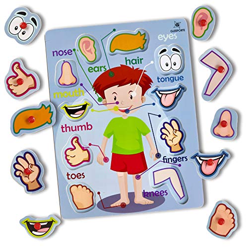 Gleeporte Wooden Peg Puzzle, My Body - Inside & Outside Parts - Pack of 2 Learning Educational Pegged Puzzle Boards for Toddler & Kids - (Set of 2)