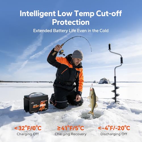 Image of Litime 12V 200Ah Bluetooth Trolling Motors LiFePO4 Battery (Group 31), 12 Volt Mini Lithium Batteries with Low Temp Protection, Up to 20000 Deep Cycles, 200A BMS for RV, Marine, Solar, Off-Grid 4Pack