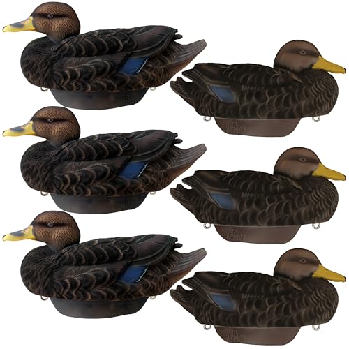 Fully Flocked Black Duck Decoys by Heyday – Ultra-Light 100% HydroFoam | Durable, Realistic Design | 6 Pack of Duck Hunting Decoys
