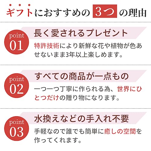 枯れない花の贈り物 ギフトに人気 特許技術で3年以上長持ち 水やり不要 ハート (ローズピンク) [3]
