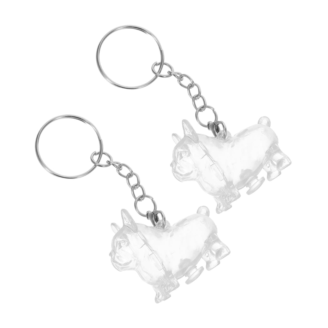 Porte-clés mémorial pour chats et chiens avec flacon souvenir poils animaux