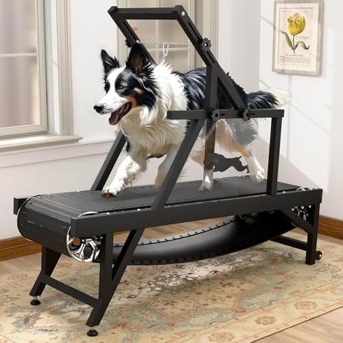Dog Treadmill, HotFeed Dog Slat Mill for Medium Dogs, Doggy Treadmill with Brake & Plastic Track, Dog Pacer Treadmill to Keep Active and Fit, Up to 250LBS(Medium)