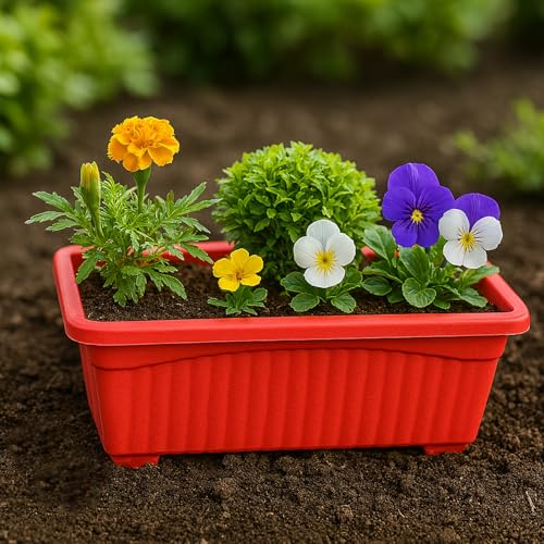 Image of Bianco Rectangular Plastic Pots for Plants, Jupiter Flower Pots for Home, Window Display, Garden (35 x 18.5 x 15 cm) (RED) (Pack of 5)