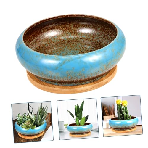 Pot de fleurs pour succulentes, solution drainage et décoration
