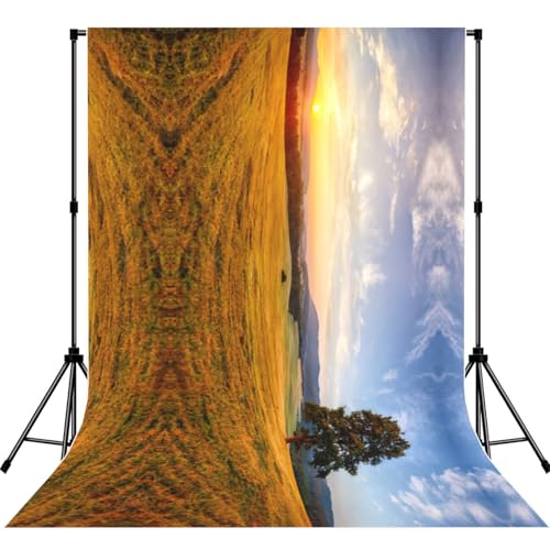 Toile de fond photographie portrait motif paysage d'herbe dorée d'automne