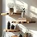 Live Edge Floating Wall Shelves, Teak Wood, Modern Rustic Decor (15