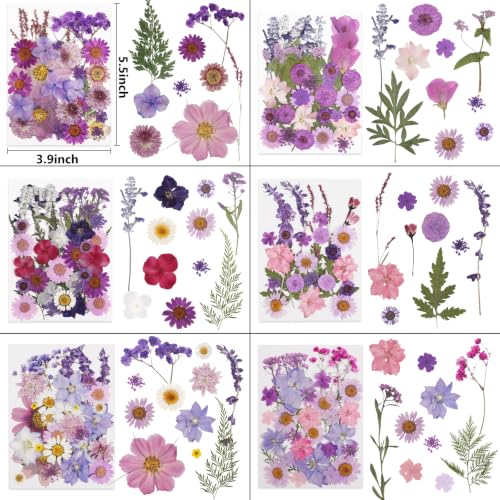 Image of NESCCI 412 Pcs Purple Pink Dried Flowers for Crafts,Real Nature Dried Flowers for Craft Bulk Dry Flowers Leaves Kit Used for Resin Molds Scrapbooking DIY Art Crafts Candle Soap Making Nails Decor
