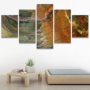 SIGNWIN 5 Panel Canvas Wall Art Abstract Closeup...
