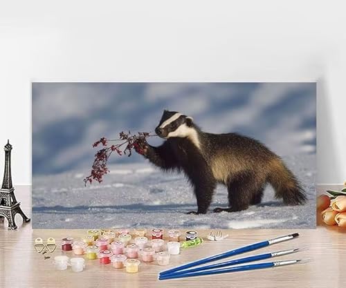 yCgoCio[  io[yCg  lp SҌ h hG Paint By Numbers nhChNtgA[g DIY G Zbg ܂ CeA AN ʊG̋ Ƃ̕ǂ̑ ւ̑蕨 t[Ȃ