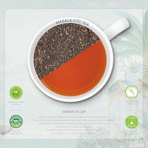 Image of Dabri Masala Tea Premium 32 Pyramid Dip Tea Bags|Pack of 2 x 16 Bags Each|Kadak Masala Chai Patti Powder with Natural Spices|Natural & Aromatic Blend|Boosts Immunity, Increases Energy Levels