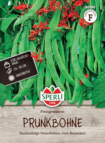 Sperli Prunkbohnensamen Preisgewinner 80280 • Für Gewächshaus • Dekorativ • Bohnensamen • Gemüsesamen • Sehr ertragreich • Hoher Wuchs • Attraktive rote Blüten für 7-9 Stangen