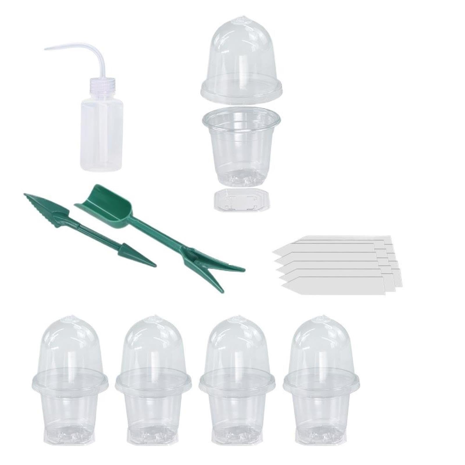 Vasi Da Vivaio Trasparenti Scatola di germinazione in plastica trasparente | Vassoio di avviamento for semi di serra da giardino interno visibile for coltivazione in vivaio(Cx 15 lots)
