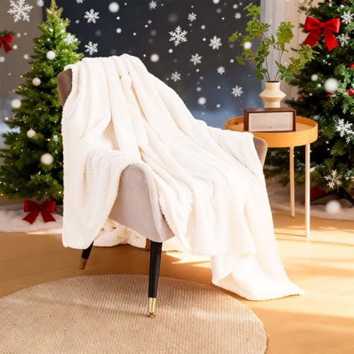 G|ѕz  Ђ|uPbg 120 x 300 cm }CNt@Co[_炩Gtl􂦂Ódh~lGKps@ԗps, ItzCg