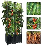 BESTEEL Upgraded Large Raised Garden Bed Planter Boxes with Trellis, 65" Tomato Planters with Trelli