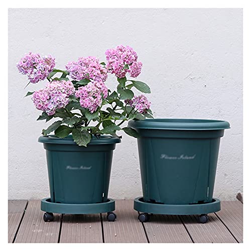 Jinyi2016Shop Furniture Wooden Display Stands Round Plant Caddy Resin Plant Caddies Heavy Duty 9 Inch Round Plant Stand With Wheels Indoor Outdoor On Roller Patio/Flower Pot Teapot Vase Bonsai Base #TOP4