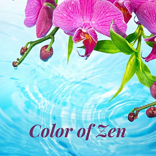 Color of Zen