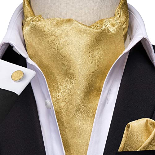Image of Hi-Tie Silk Ascot for Men Self Tie Men's Cravat and Flower Lapel Pin Handkerchief Cufflinks Set for Wedding Party