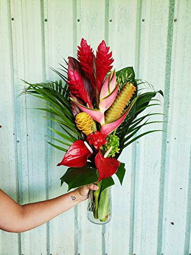 Large Hawaiian Tropical Fresh Flower Arrangement - Grown In Hana, Hawaii To Organic Standards - Includes Bold Tropical Flowers & Greenery - A Total Of 20 Stems! #TOP6