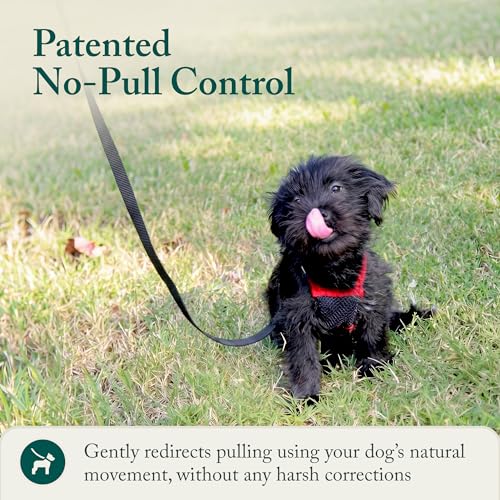Image of Sporn No Pull Dog Harness, Durable Nylon Mesh Harness for Small Dogs, No Choke Design, Padded Restraint Sleeves, Adjustable Fit, Easy On /Off, Ideal for Small Breeds, Red