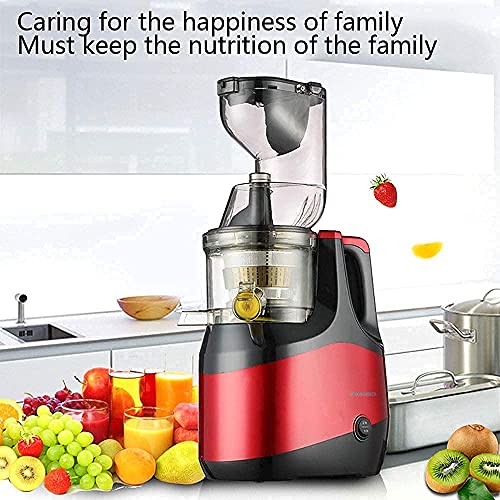 MIIKHI Juicer Machines,Slow Masticating Juicer Cold Press Juicer Machine With Dual-Stage Extraction Creates