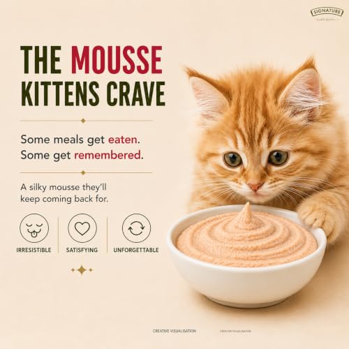 Image of Grain Zero Kitten Wet Mousse 80g Pack of 5, 400g | Salmon Flavour | Rich in Protein, Hydrating & Easy to Digest | Taurine for Heart & Vision Health | with Essential Vitamins & Antioxidants