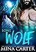 Lone Wolf (BBW Werewolf Shapeshifter Romance)