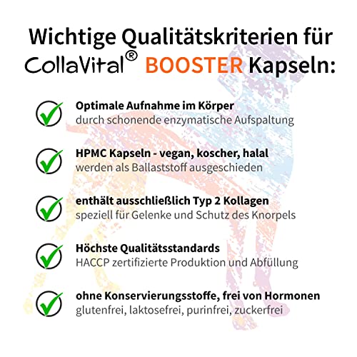 CollaVital® Dog Booster Typ2 Kollagen 40 Kapseln - Gelenkpulver aus bioaktiven Kollagen Hydrolysat - Geschmacksneutral - bioaktive Kollagenpeptide - Protein Booster - Arthrose - für den Hund