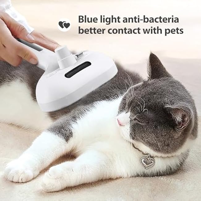 Mist Massage Brush sheddyMist PuffGroom GroomFlowCat Brush for Indoor Cats, Pet Steam Brushes for Shedding, Hair Supplies for Long or Short Haired Kitten, White-k505qWac