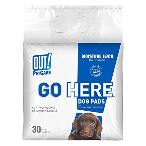 Out 72500 22 X 22 Moisture LockTM Pet Training Pads 30 Count